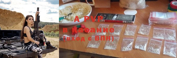 apvp Богородицк